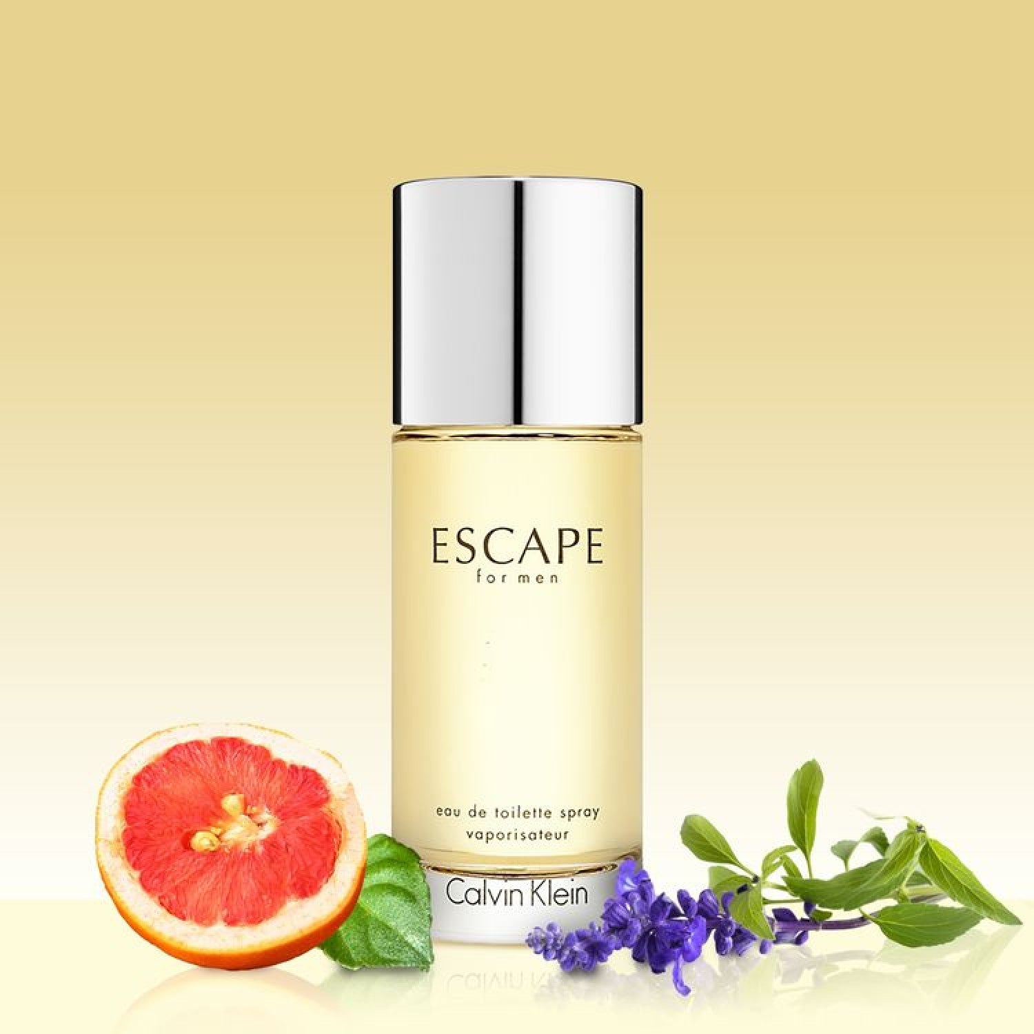 Calvin Klein Escape For Men EDT 100ml