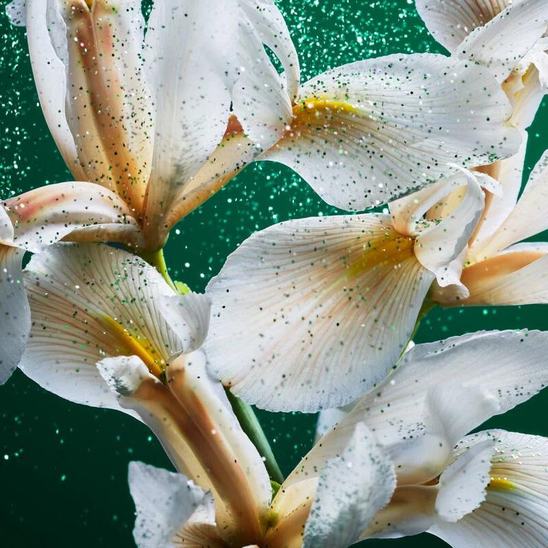 عطر كارولينا هيريرا اميرالد مسك 100 مل