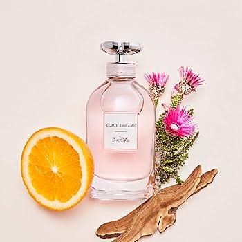 كوتش دريمز إيدي بي 90 مل