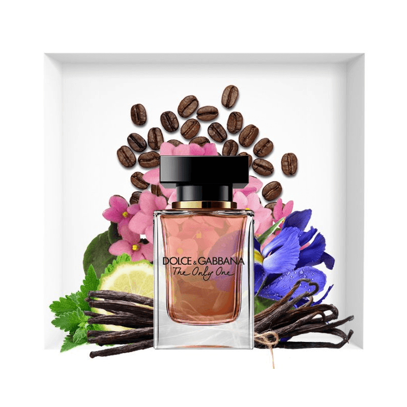 دولتشي آند غابانا ذا أونلي وان إيدي بارفان 50 مل