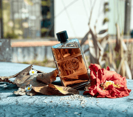 جوتشي جيلتي أبسولوت بور هوم أو دو بارفان (90 مل)